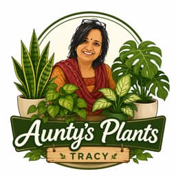 Aunty's Plants Tracy